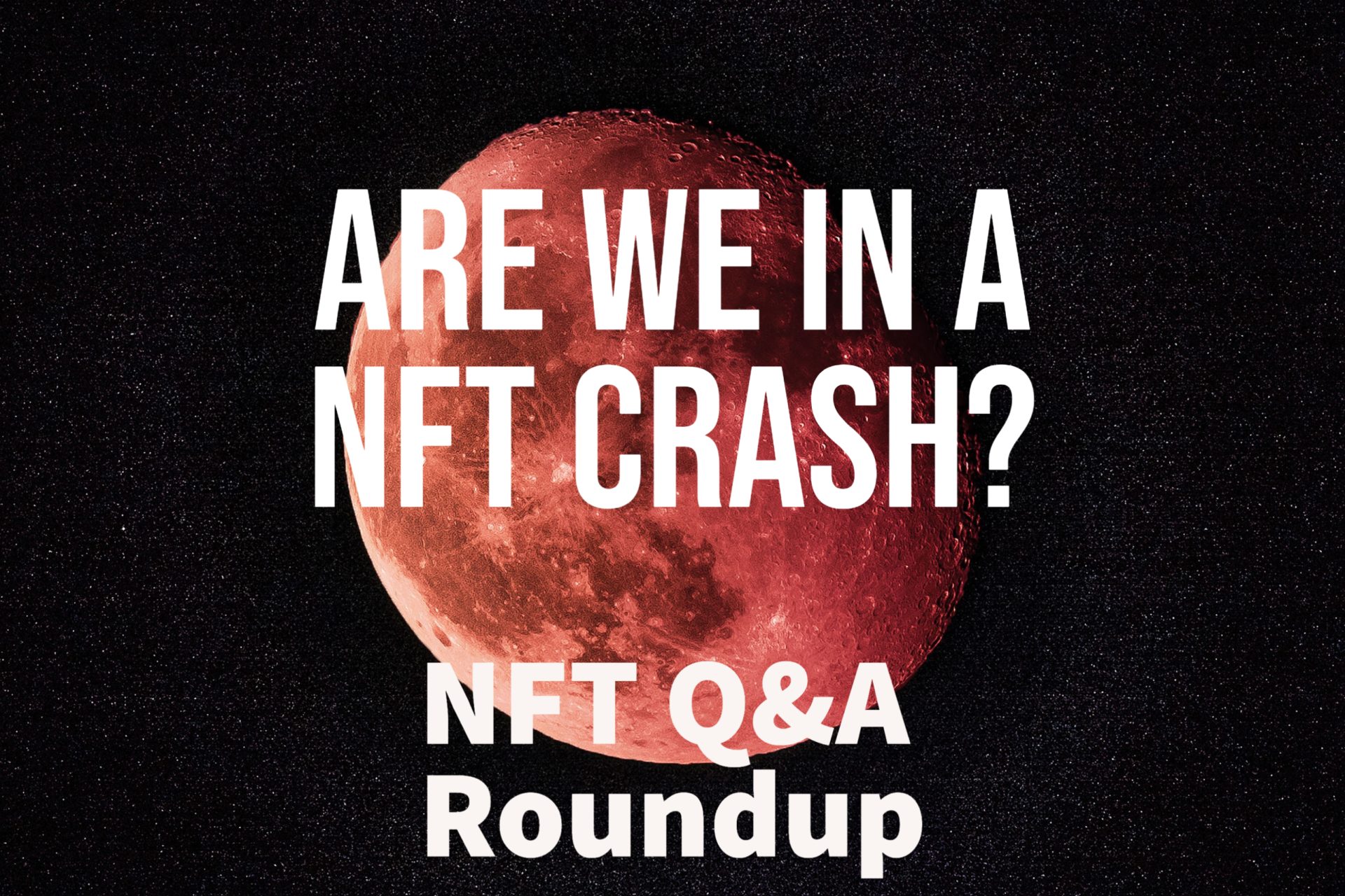 NFT Culture Staff Q&A: What is Next for NFTs?