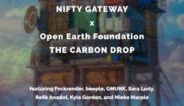 The Carbon Drop NFT Auctions - Nifty Gateway