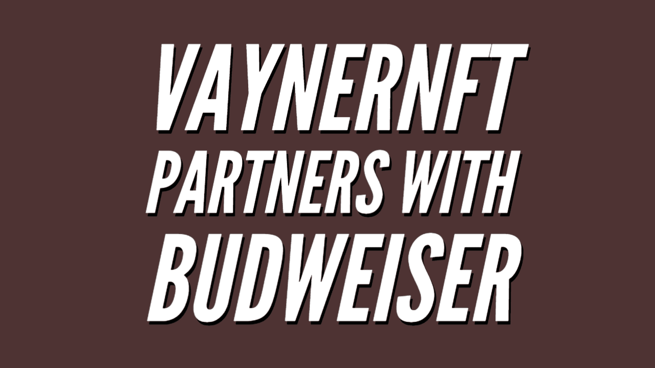VaynerNFT Consulting – The Next big Gary Vee Project