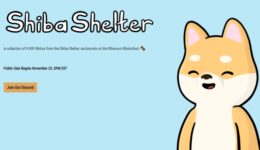 shiba-shelter NFT