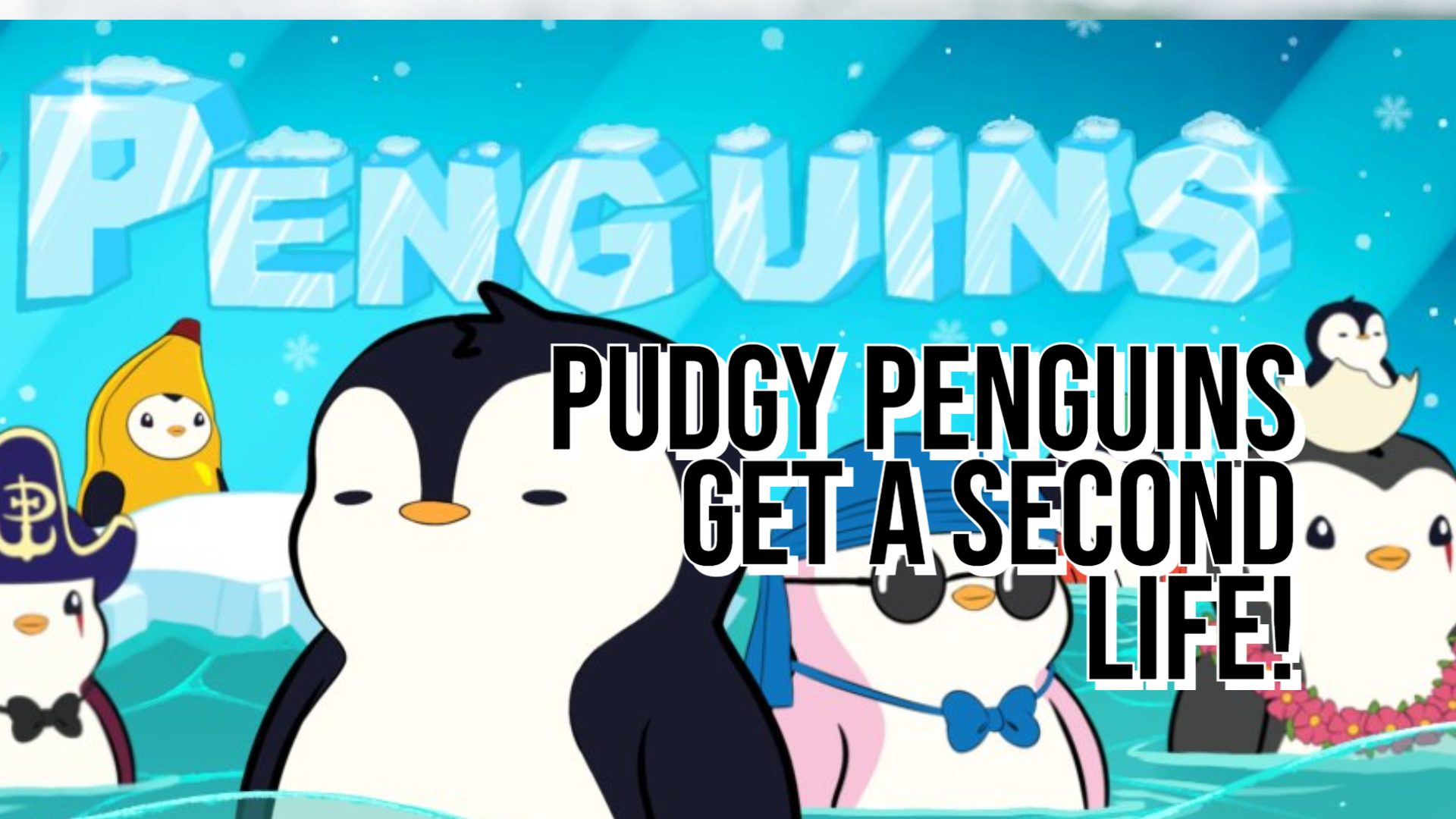 Pudgy Penguins get a second chance! New Ownership