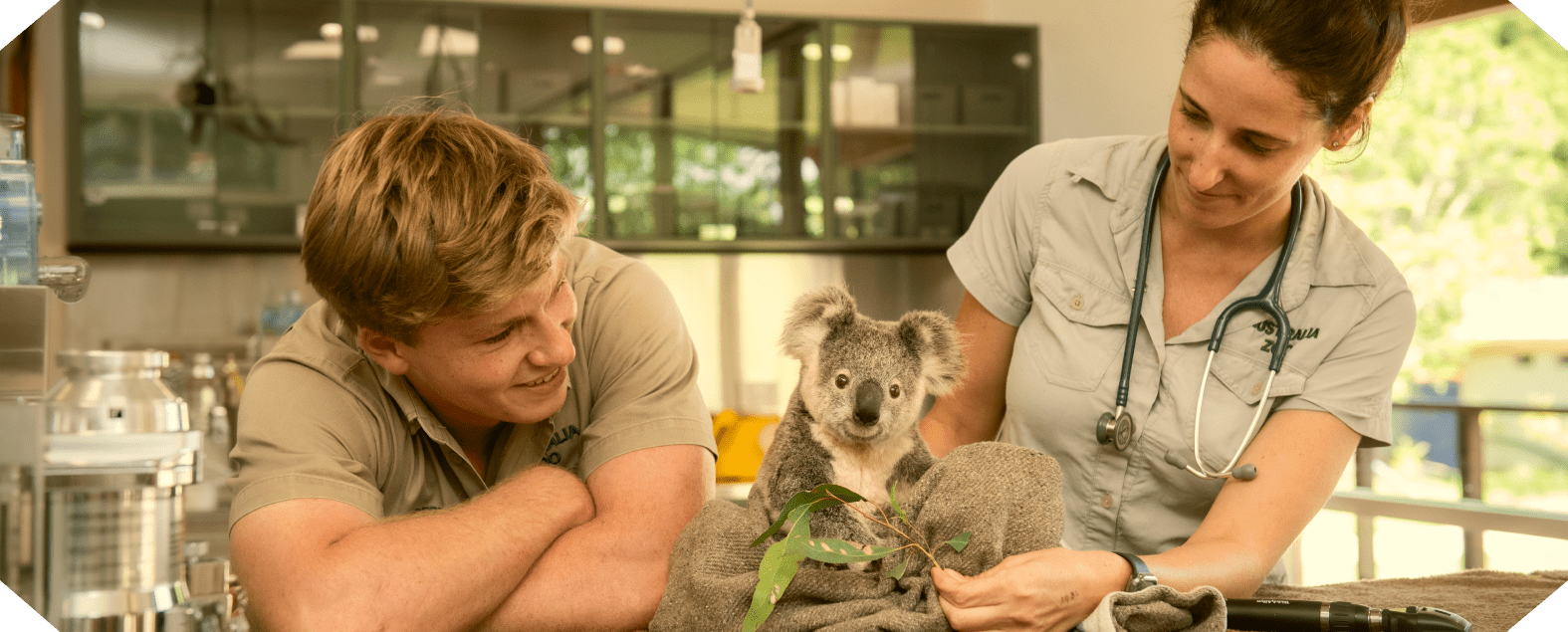 Australia Zoo announces first NFT Wildlife Warriors