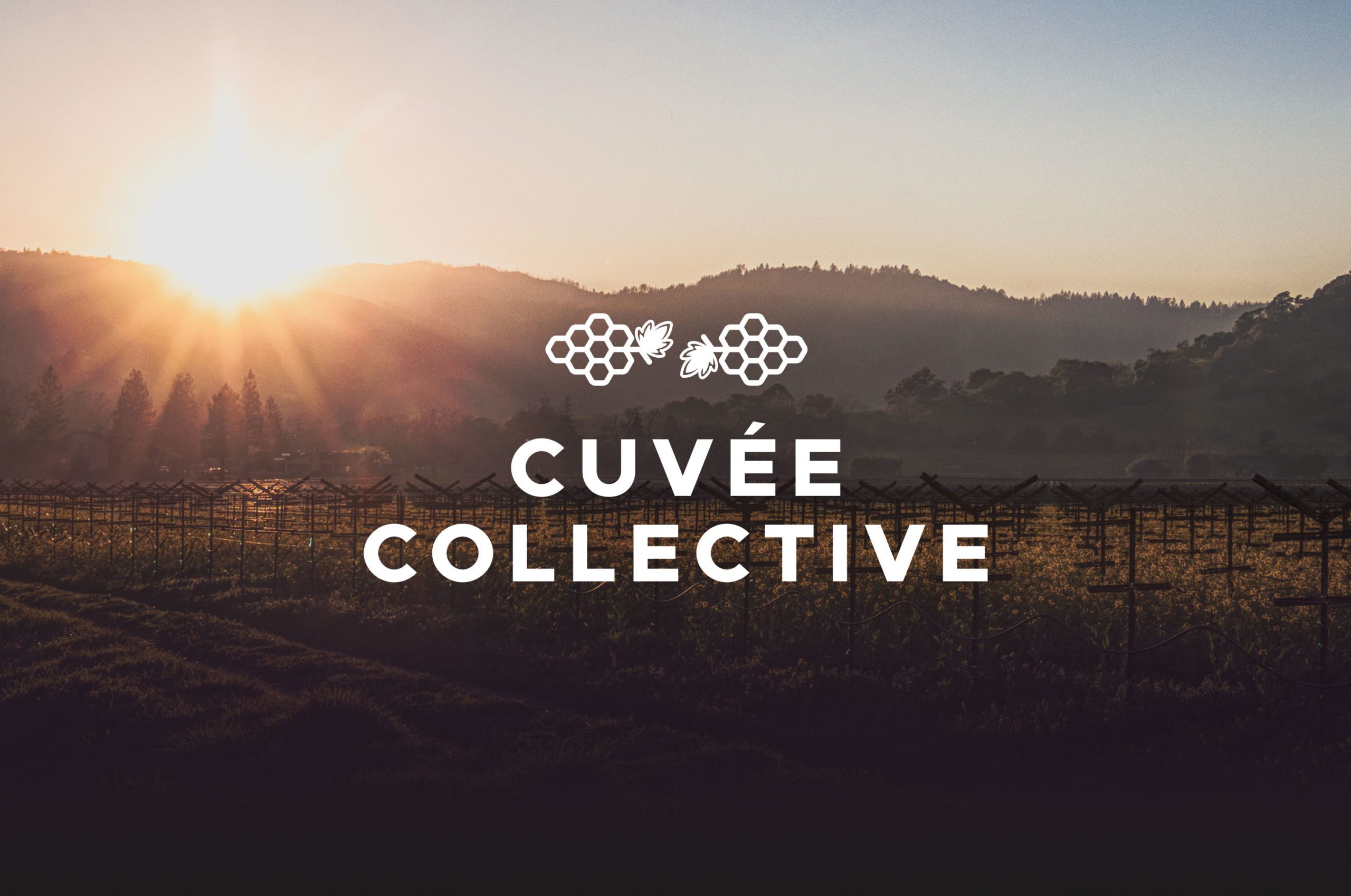 Cuvée Collective NFT Launches July 27th