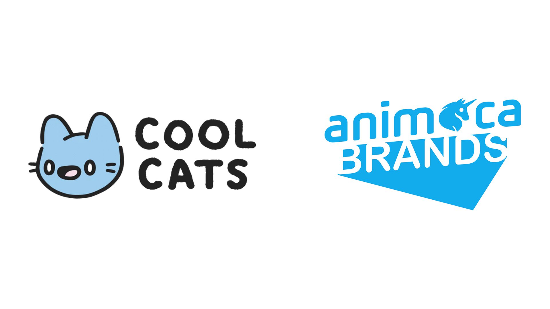 Cool Cats Group secures strategic investment from Animoca Brands, building on gaming partnership