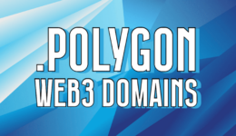 Polygon web3 domains-1