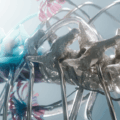 Banner Interview (Large)
