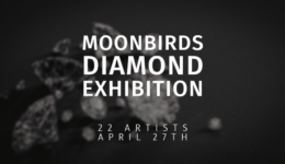 Moonbrids diamond exhibition-1