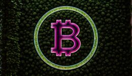 Bitcoin BFF Ordinals