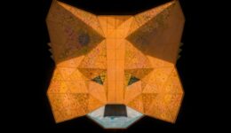 metamask project snaps