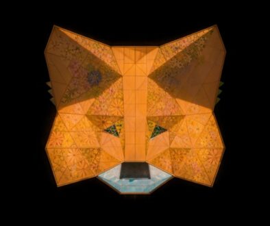 metamask project snaps