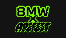 BMW Apefest