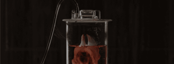 David-lisser-nft-art David-lisser-nft-art