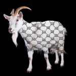 Trevor Andrew Gucci Ghost NFT Artist Trevor Andrew Gucci Ghost NFT Artist