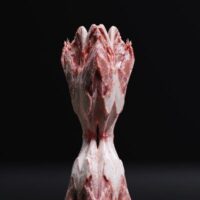 david-lisser-nft david-lisser-nft