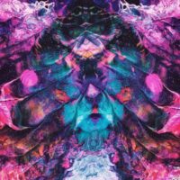 Adam Priester-NFT art Adam Priester-NFT art